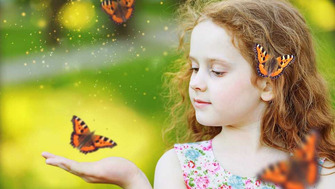 Ce s-ar intampla daca toate insectele de pe Pamant ar disparea?
