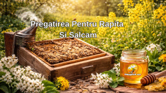 Pregatirea Pentru Rapita Si Salcam: Ce Facem In Martie Ca Sa Valorificam Maxim Culesurile De Primavara?