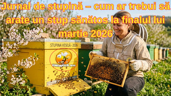 Jurnal de stupină – cum ar trebui să arate un stup sănătos la finalul lui martie 2026