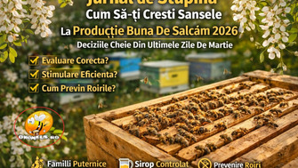 Jurnal De Stupina – Cum Sa-Ti Cresti Sansele La Productie Buna De Salcam 2026 – Deciziile Cheie Din Ultimele Zile De Martie