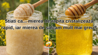 Stiati ca... mierea de rapita cristalizeaza rapid, iar mierea de salcam mult mai greu?