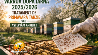 Varroa Dupa Iarna 2025/2026 – Tratament De Primavara Tarzie Sau Asteptam Aprilie?