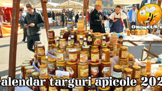 Calendarul targurilor apicole pe anul 2021 - BLOG