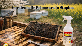Curatenia De Primavara In Stupina