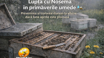 Lupta Cu Nosema In Primaverile Umede