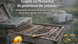 Lupta Cu Nosema In Primaverile Umede