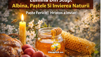 Lumina Din Stup: Simbolismul Albinei Si Miracolul Invierii Naturii