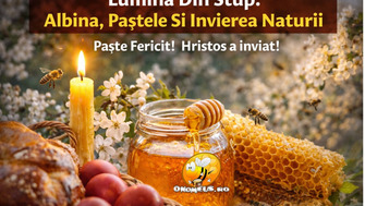 Lumina Din Stup: Simbolismul Albinei Si Miracolul Invierii Naturii