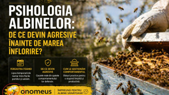 Psihologia Albinelor: De Ce Devin Agresive Inainte De Marea Inflorire?