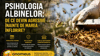 Psihologia Albinelor: De Ce Devin Agresive Inainte De Marea Inflorire?