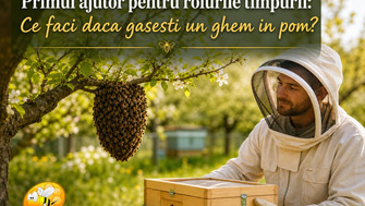 Primul Ajutor Pentru Roiurile Timpurii: Ce Faci Daca Gasesti Un Ghem In Pom?