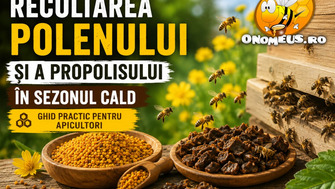 Recoltarea polenului si a propolisului in sezonul cald