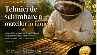 Tehnici de Schimbare a Matcilor in Iunie