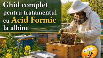 Ghid complet pentru tratamentul cu Acid Formic la albine