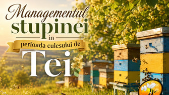 Managementul stupinei în perioada culesului de Tei