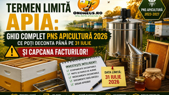 Termen Limita APIA: Ghid Complet PNS Apicultura 2026. Ce Poti Deconta Pana Pe 31 Iulie Si Capcana Facturilor!