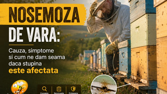 Nosemoza De Vara: Cauza, Simptome Si Cum Ne Dam Seama Daca Stupina Este Afectata