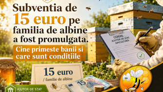 Subventia De 15 Euro Pe Familia De Albine A Fost Promulgata. Cine Primeste Banii Si Care Sunt Conditiile