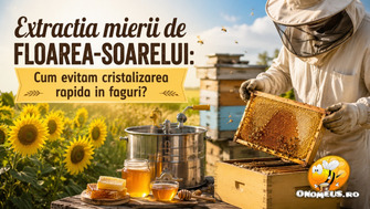 Extractia Mierii De Floarea-Soarelui: Cum Evitam Cristalizarea Rapida In Faguri?