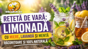 Rețetă de Vară: Limonadă cu miere, lavandă și mentă - Răcoritoare și 100% naturală