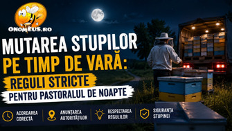 Mutarea stupilor pe timp de vară: Reguli stricte pentru pastoralul de noapte
