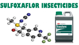 Sulfoxaflor - un insecticid sistematic asemanator Neonicotinoidelor
