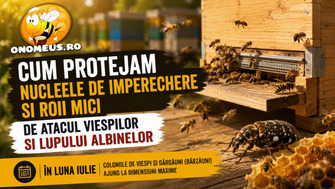 Cum protejam nucleele de imperechere si roii mici de atacul viespilor si lupului albinelor