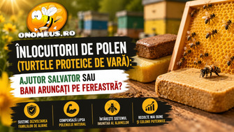 Înlocuitorii de polen (turtele proteice de vară): Ajutor salvator sau bani aruncați pe fereastră?