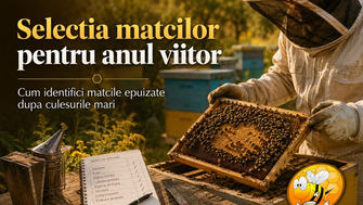 Selectia Matcilor Pentru Anul Viitor: Cum Identifici Matcile „Epuizate” Dupa Culesurile Mari