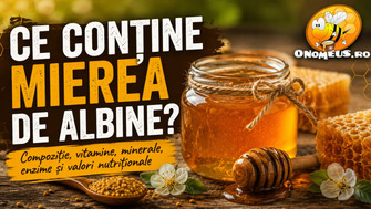 Ce Contine Mierea De Albine? Compozitie, Valori Nutritionale, Vitamine Si Minerale