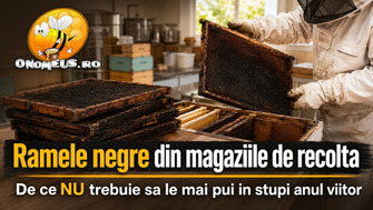 Ramele Negre Din Magaziile De Recolta: De Ce NU Trebuie Sa Le Mai Pui In Stupi Anul Viitor