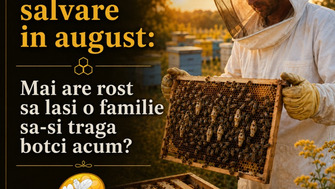 Matci De Salvare In August: Mai Are Rost Sa Lasi O Familie Sa-Si Traga Botci Acum?