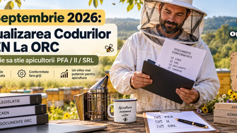 24 Septembrie 2026: Ultima Zi Buna Pentru Actualizarea Codurilor CAEN La Registrul Comertului (ORC)