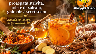 Ceai cald de cătină proaspătă strivită, miere de salcâm, ghimbir, si scorțișoară