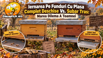 Iernarea pe funduri cu plasă (antivaroa) complet deschise vs. Șubăr tras: Marea dilemă a toamnei