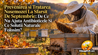 Prevenirea și tratarea Nosemozei (Nosema apis / ceranae) la sfârșit de septembrie: De ce nu ajută antibioticele și ce soluții naturale folosim?