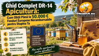 Ghid Complet DR-14 Apicultură: Cum Obții Până la 50.000 € Fonduri Europene Nerambursabile pentru Stupina Ta