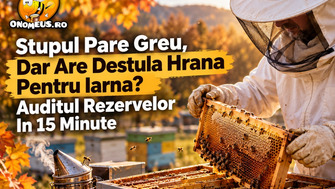 Stupul pare greu, dar are destula hrana pentru iarna? Auditul rezervelor in 15 minute