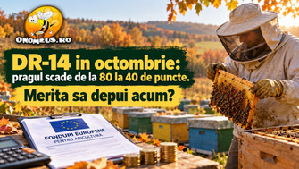 DR-14 in octombrie: pragul scade de la 80 la 40 de puncte. Merita sa depui acum?