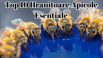 Top 10 Hranitoare Apicole Esențiale: Cum să Alegi Corect pentru Sănătatea Stupului Tău