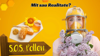 Eficiența Mierii împotriva Alergiilor Sezoniere: Mit sau Real?