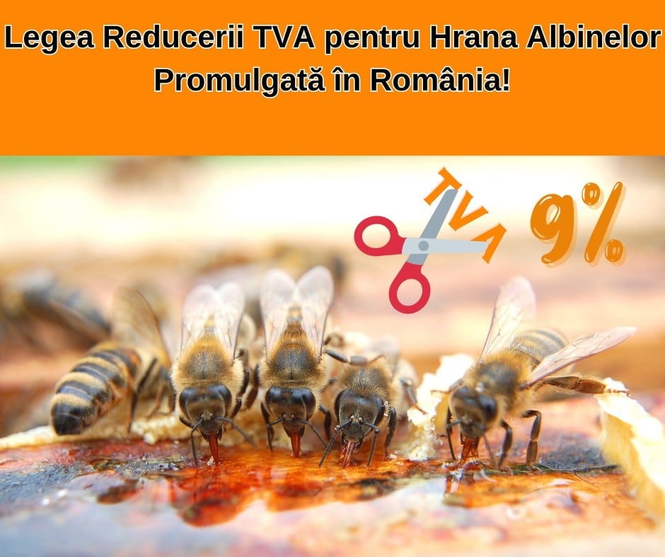 Legea Reducerii TVA pentru Hrana Albinelor Promulgată în România! - onomeus.ro