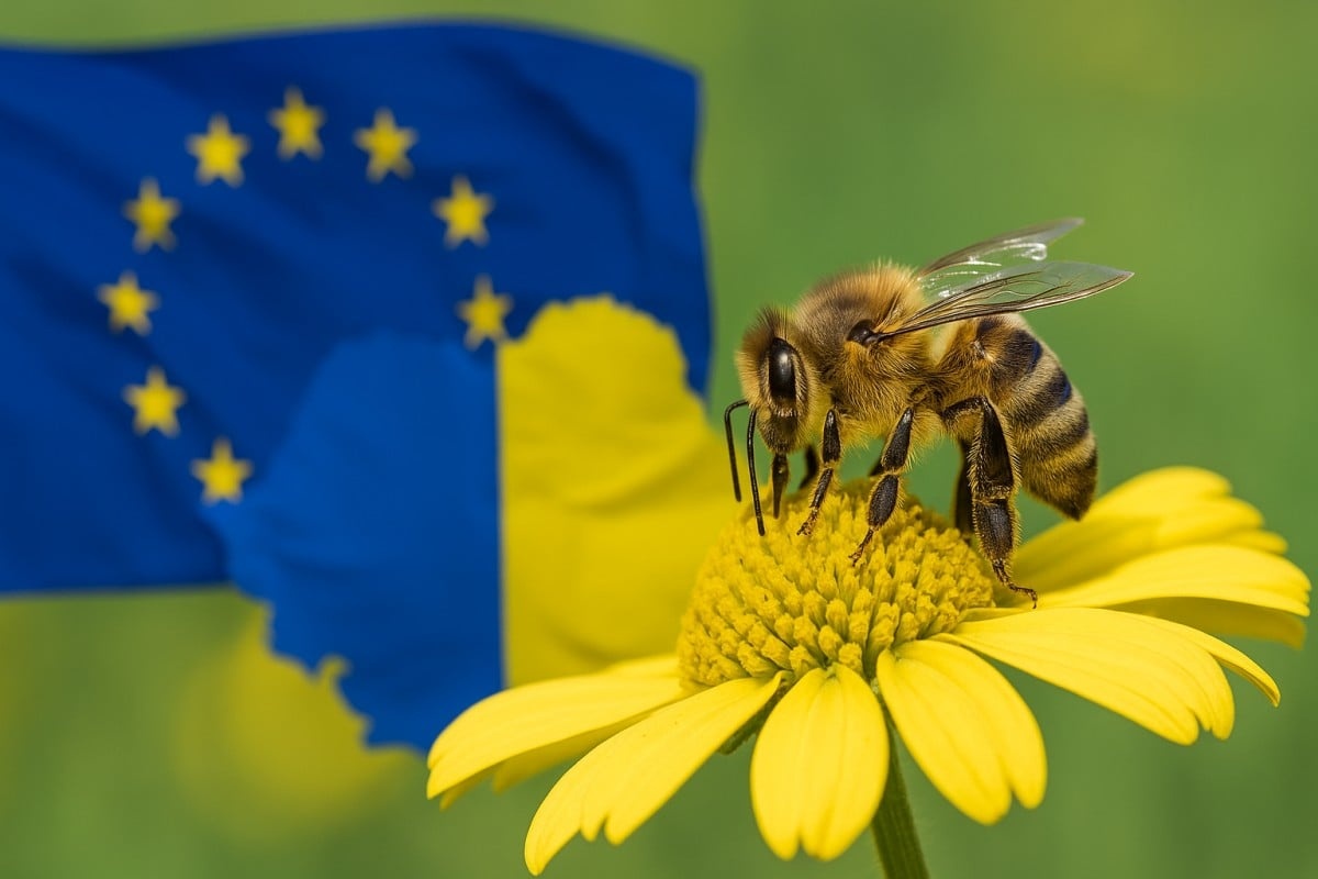 Romania Incalca Legea UE - Autorizeaza Pesticid Periculos Pentru Albine - onomeus.ro