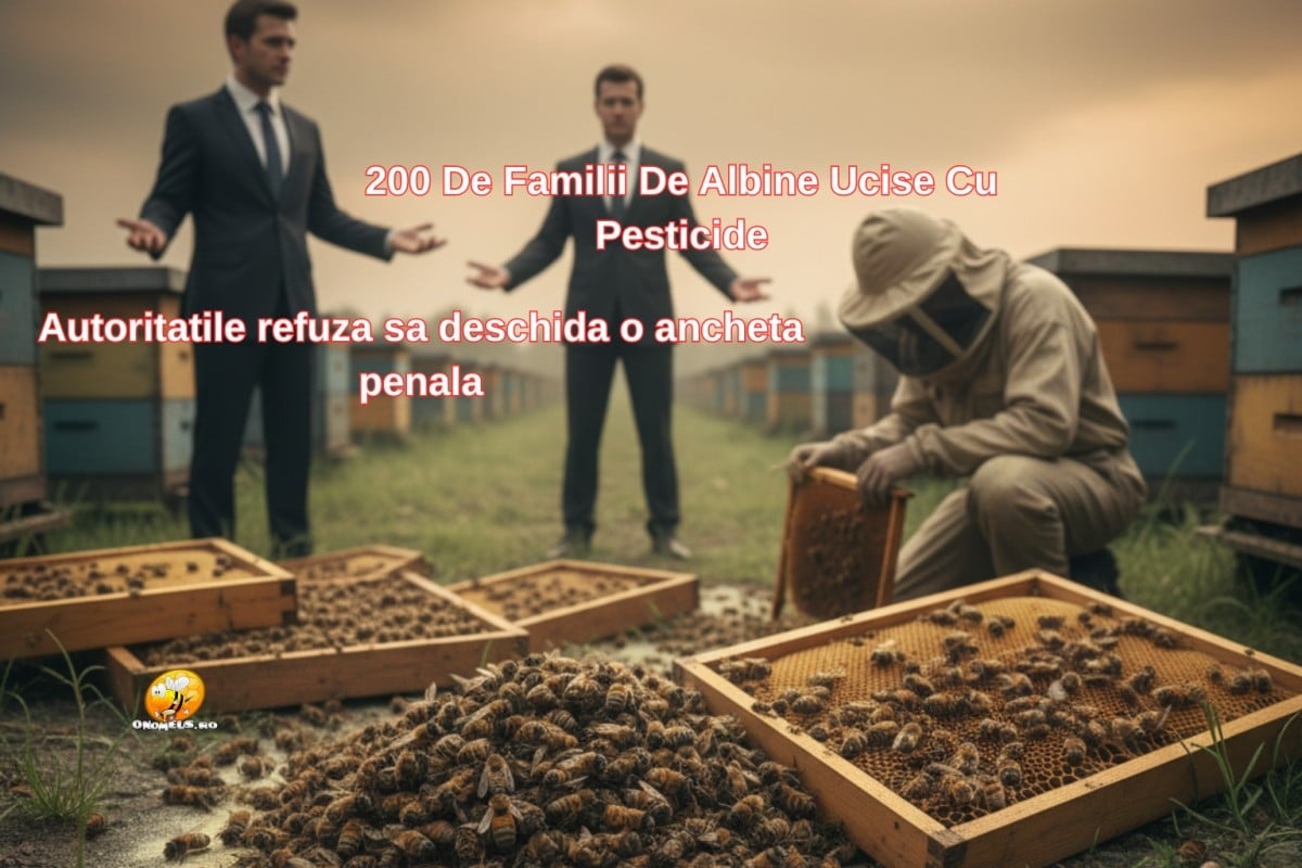 200 de familii de albine ucise cu pesticide - onomeus.ro