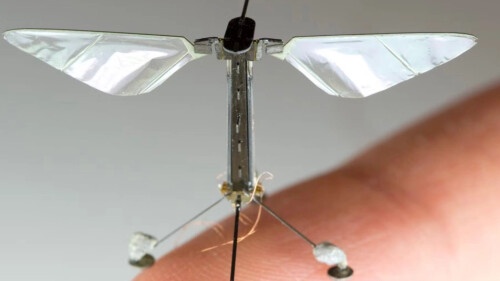 robobee