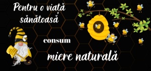 cana cadou pentru apicultori - consum miere naturala pentru o viata sanatoasa