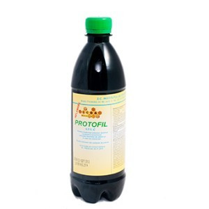 Protofil