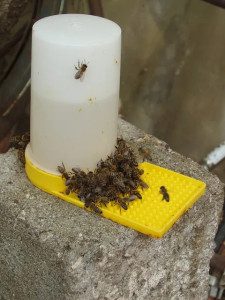 ADAPATOR SI HRANITOR DE URDINIS