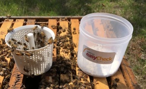 TESTER VARROA EASY CHECK