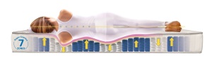Двулицев матрак Favourite Nova Orthopedic 20см, Ортопедичен - TED - Img 3